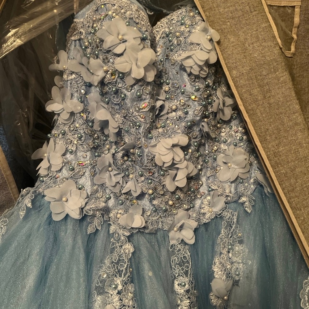 Quinceañera Dress - Picture 5 of 7